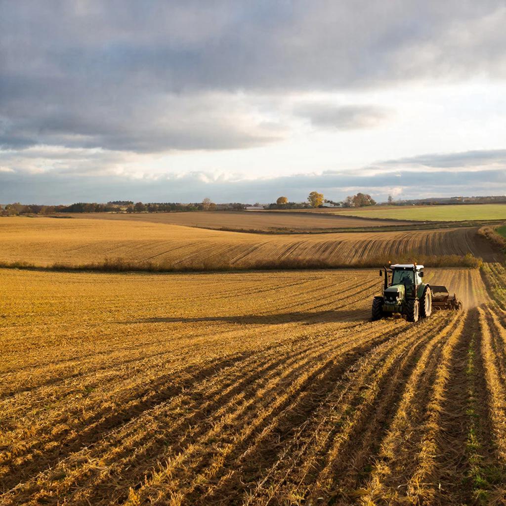 Обработка полей
