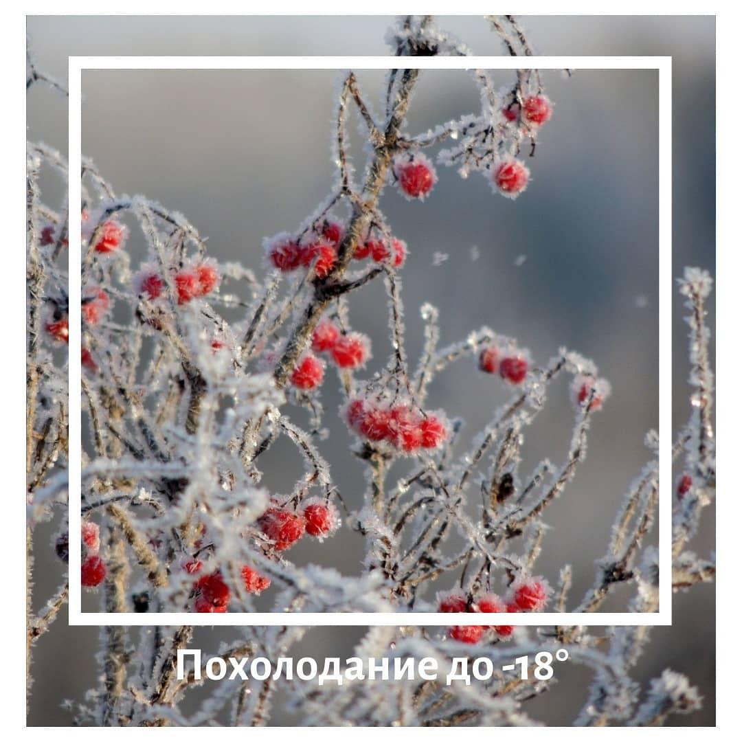 На Кубани похолодает до -18°