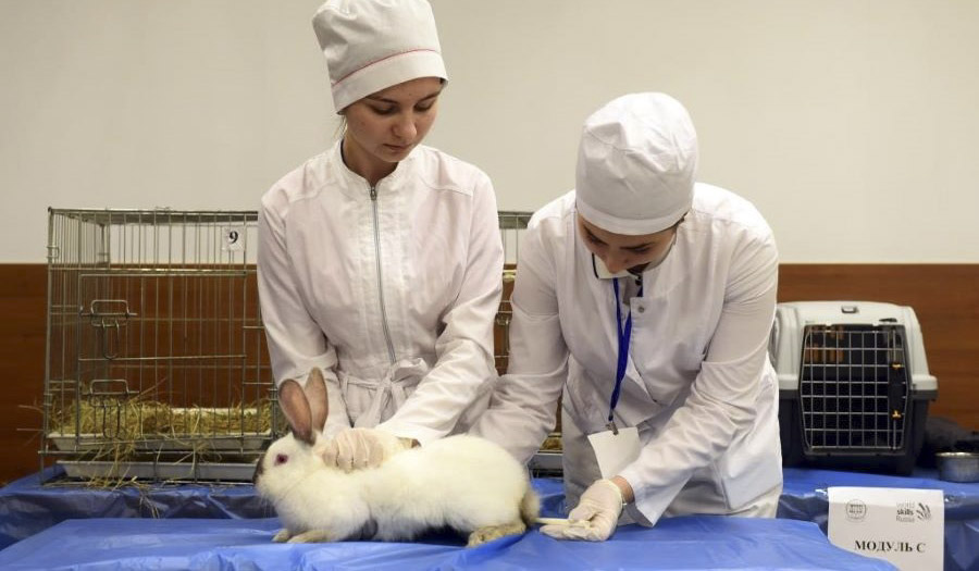 Курсы повышения квалификации по программе "Основы технологии разведения кроликов в условиях малых форм хозяйствования"
