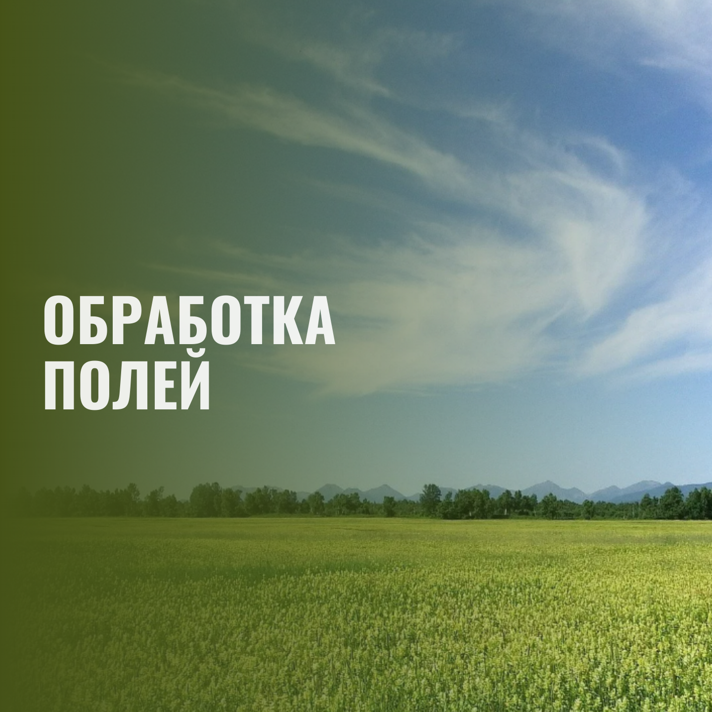 🌾 Обработка полей