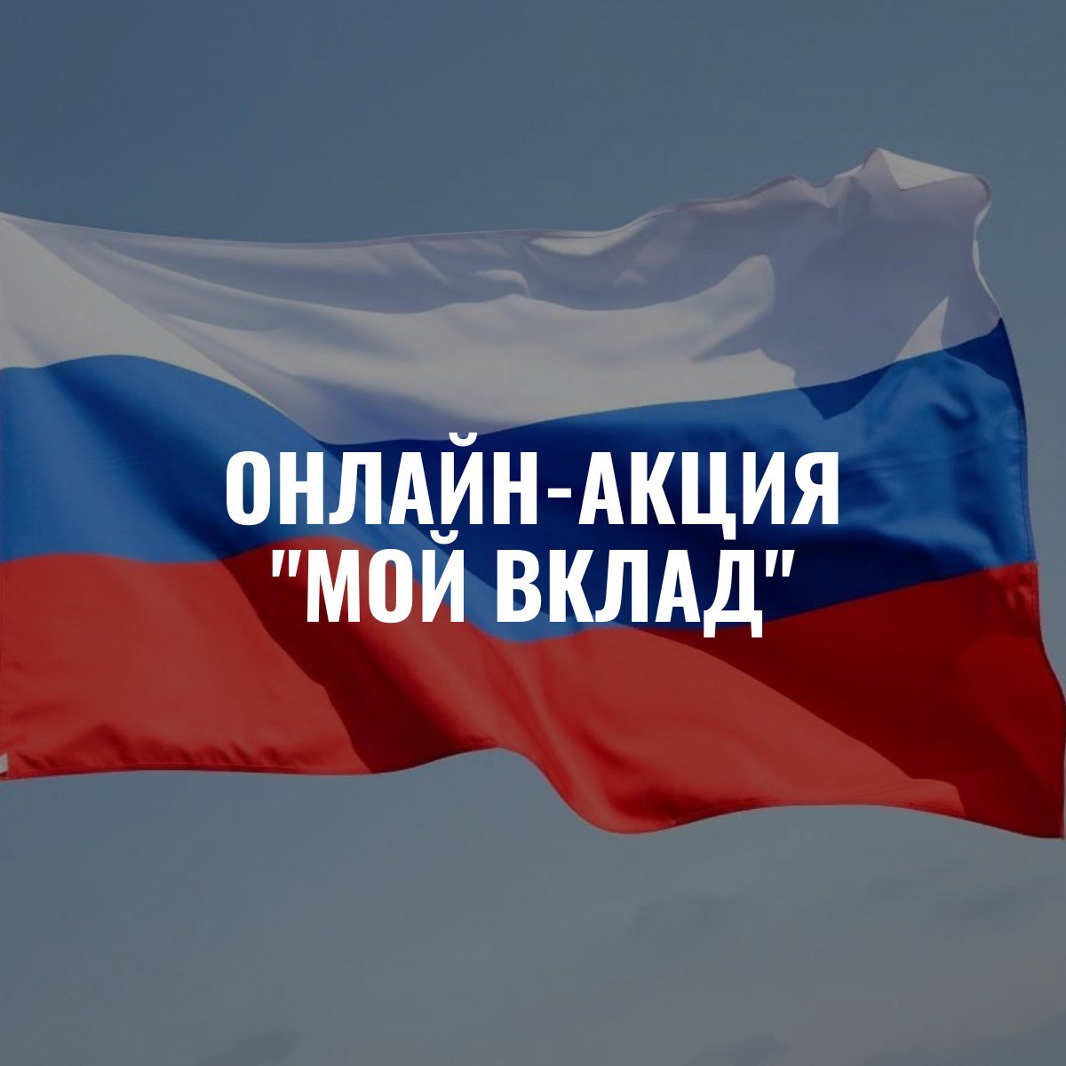 Онлайн-акция «Мой вклад»