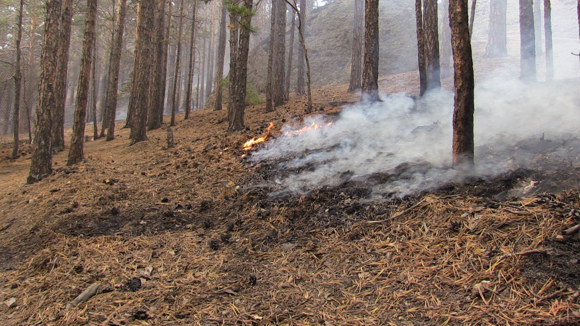 Об ухудшении погодных условий