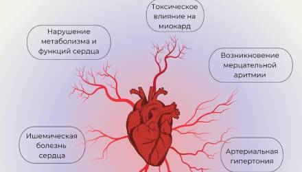 Сердечно-сосудистая система vs Алкоголь