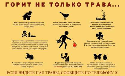 Пал сухой растительности: опасность и ответственность