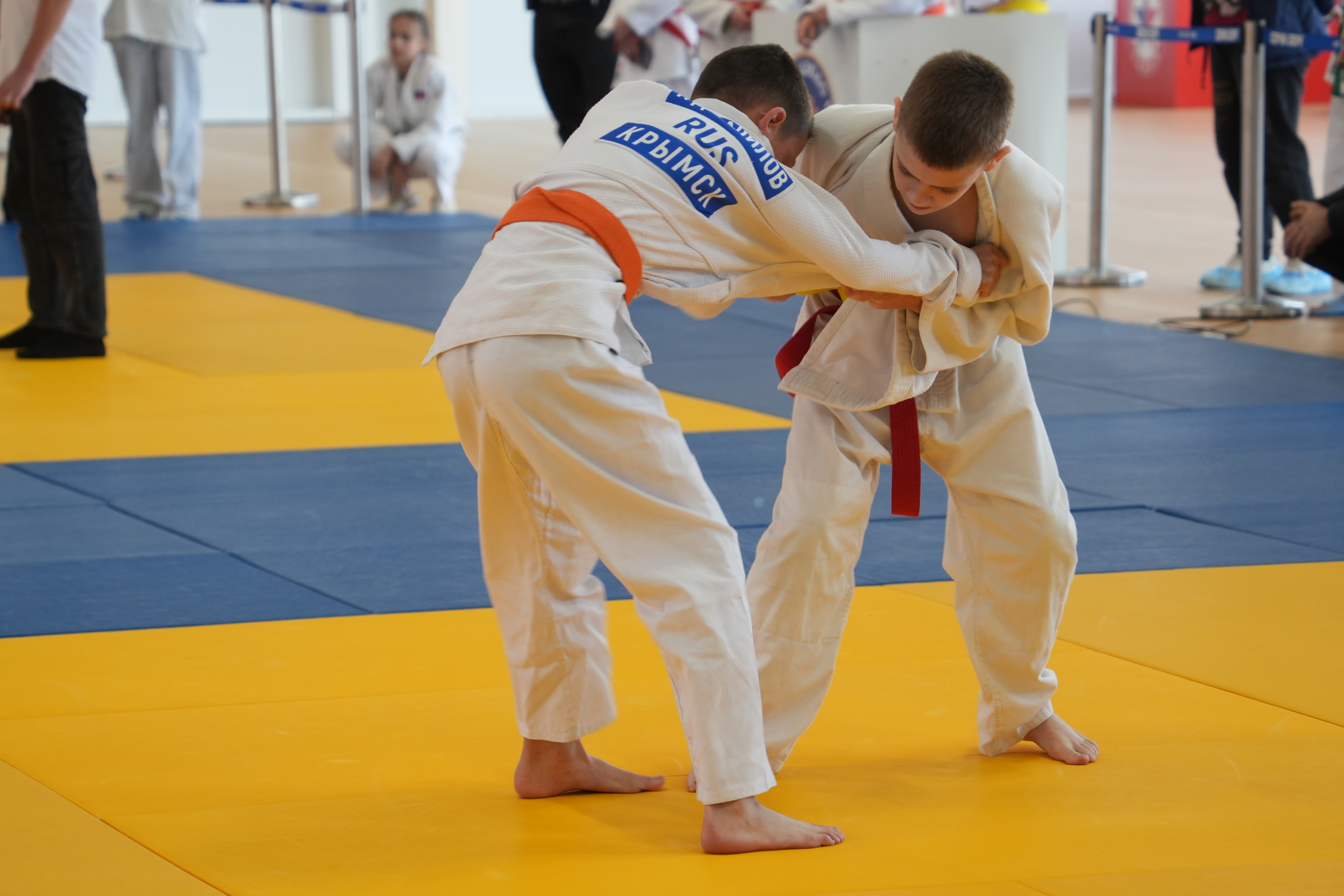 Дзюдо: сила духа и мастерство тела!