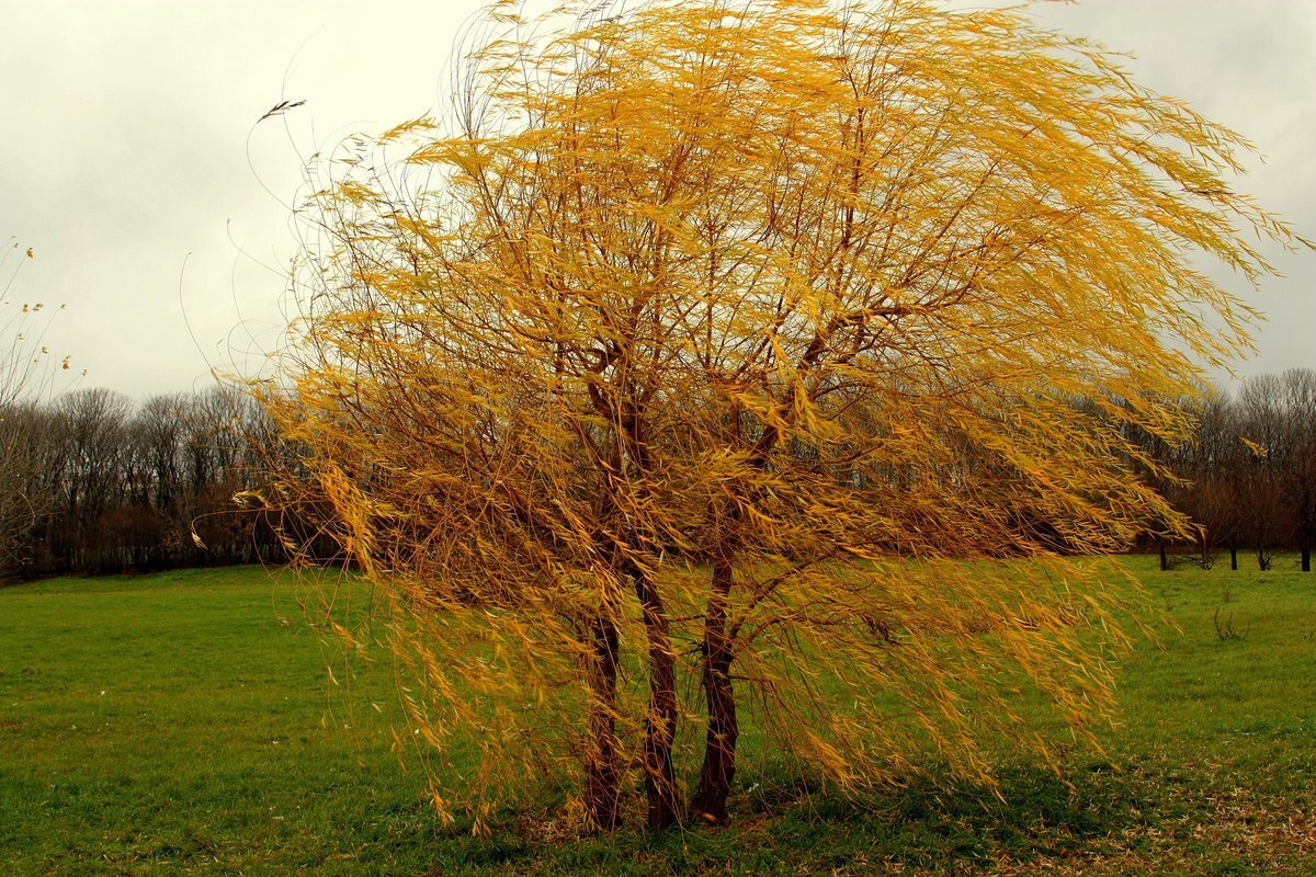 Об ухудшении погодных условий