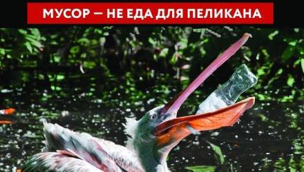 Помоги природе – переходи на многоразовое!