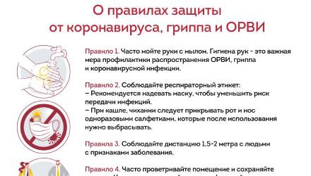 Профилактика гриппа, ОРВИ и коронавирусной инфекции