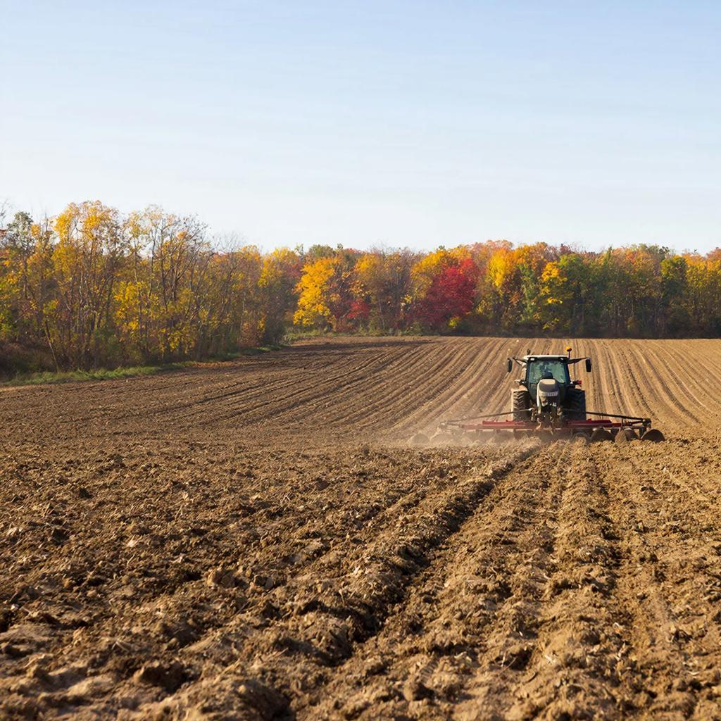 Обработка полей