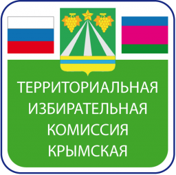 Анонс заседания ТИК