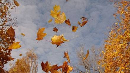 Сильный ветер