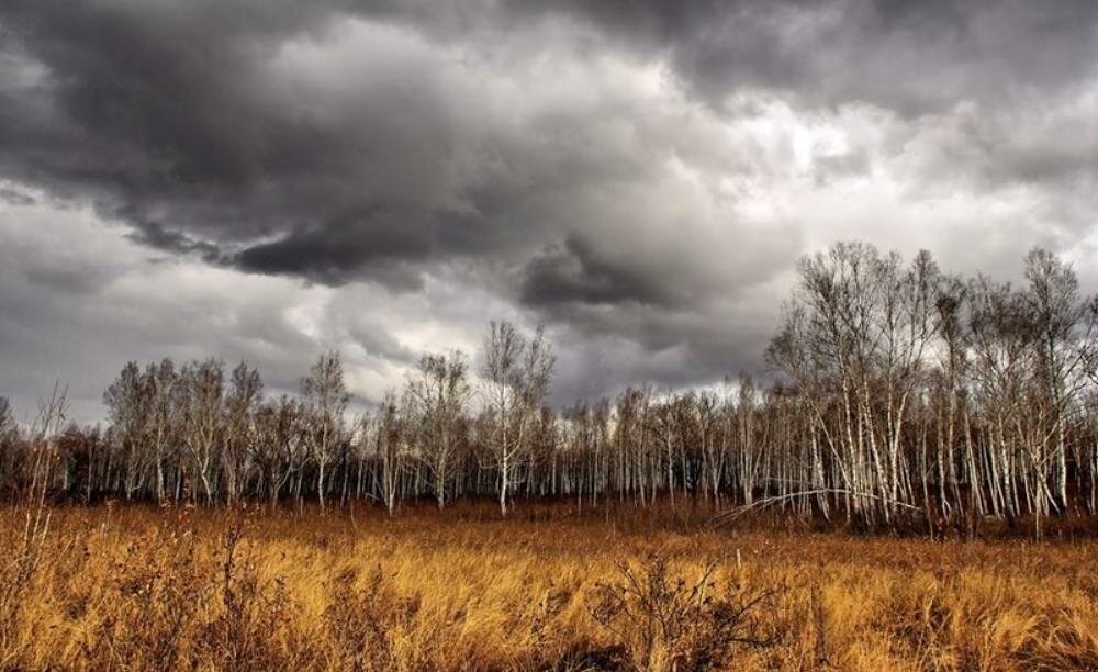 ЕЖЕДНЕВНЫЙ ПРОГНОЗ