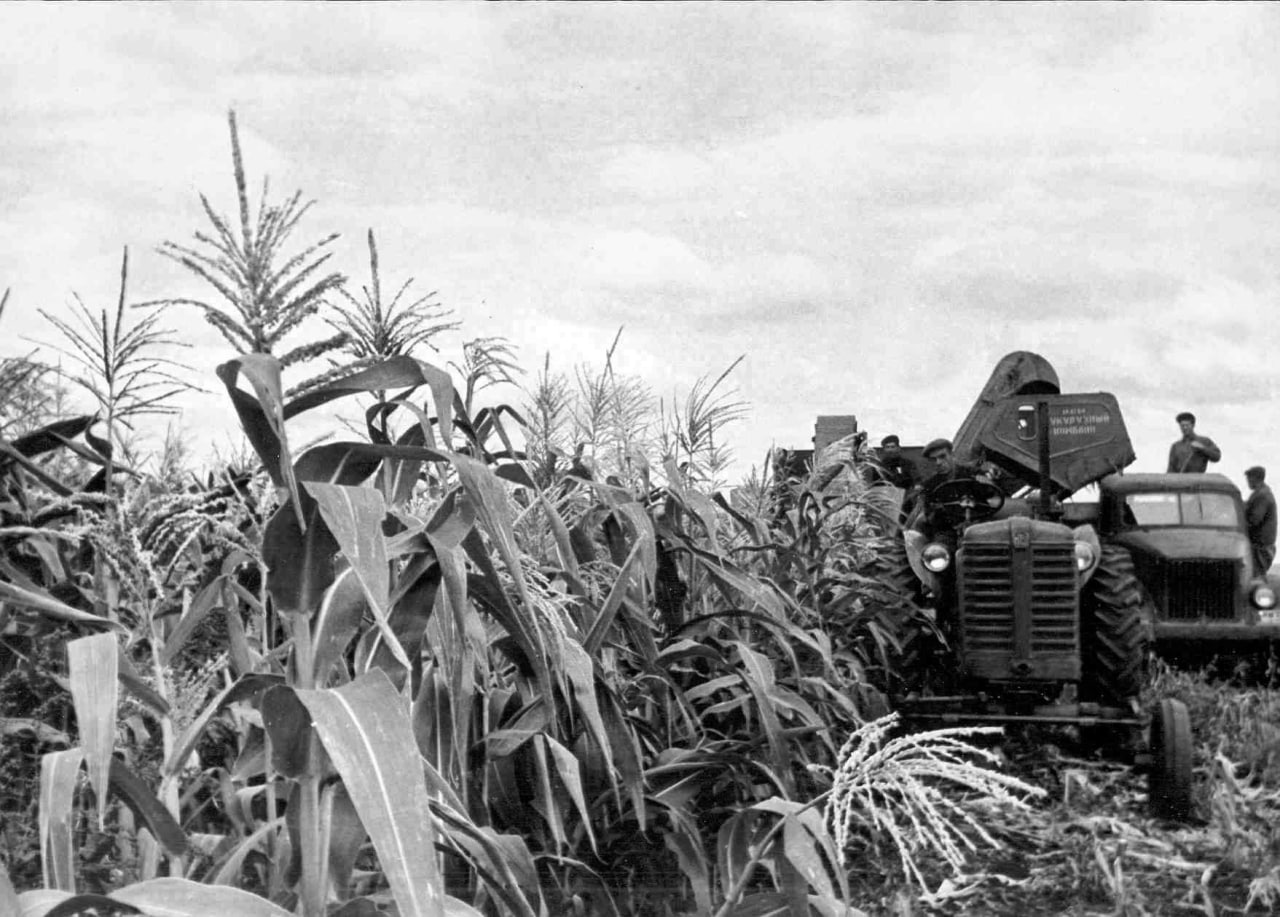 3 января в истории Крымского района