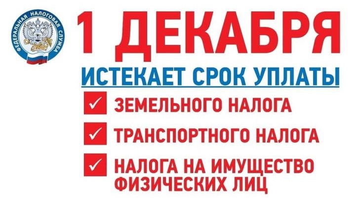 1 декабря 2020 года — срок уплаты имущественных налогов за 2019 год
