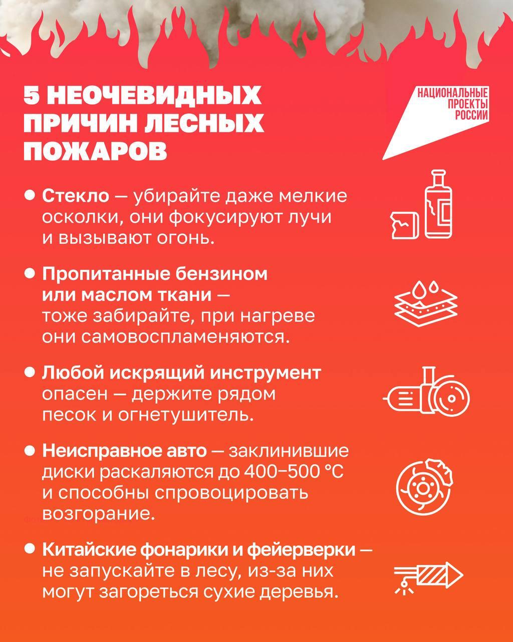 🌲 Пожары в лесах происходят не только из-за костров, но и из-за безобидных на первый взгляд действий или предметов. 
