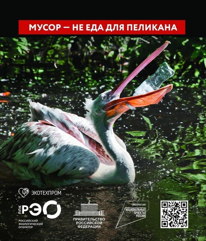 Выпил воду, а бутылку выбросил…