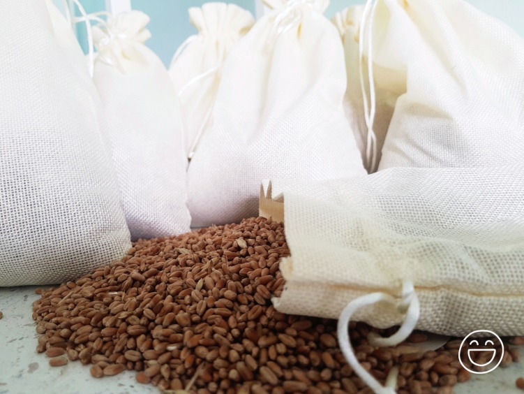 ПОДГОТОВКА К СЕВУ ОЗИМЫХ