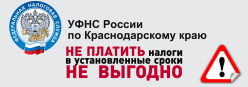 УФНС России