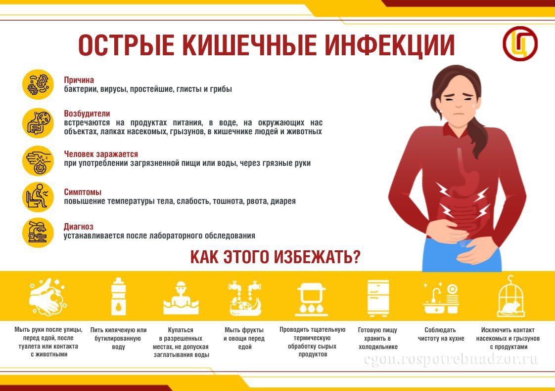 Роспотребнадзор напоминает, как не заболеть острой кишечной инфекцией?
