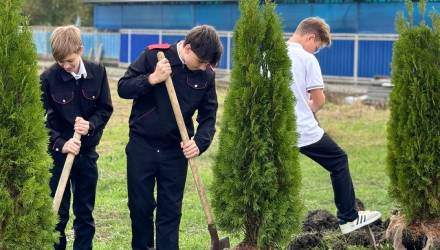 Молодые депутаты высадили деревья в парке хутора Красного