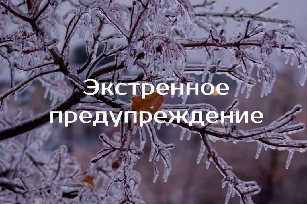 ⚠️ Экстренное предупреждение