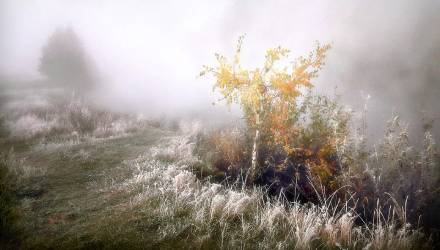 Прогноз погоды