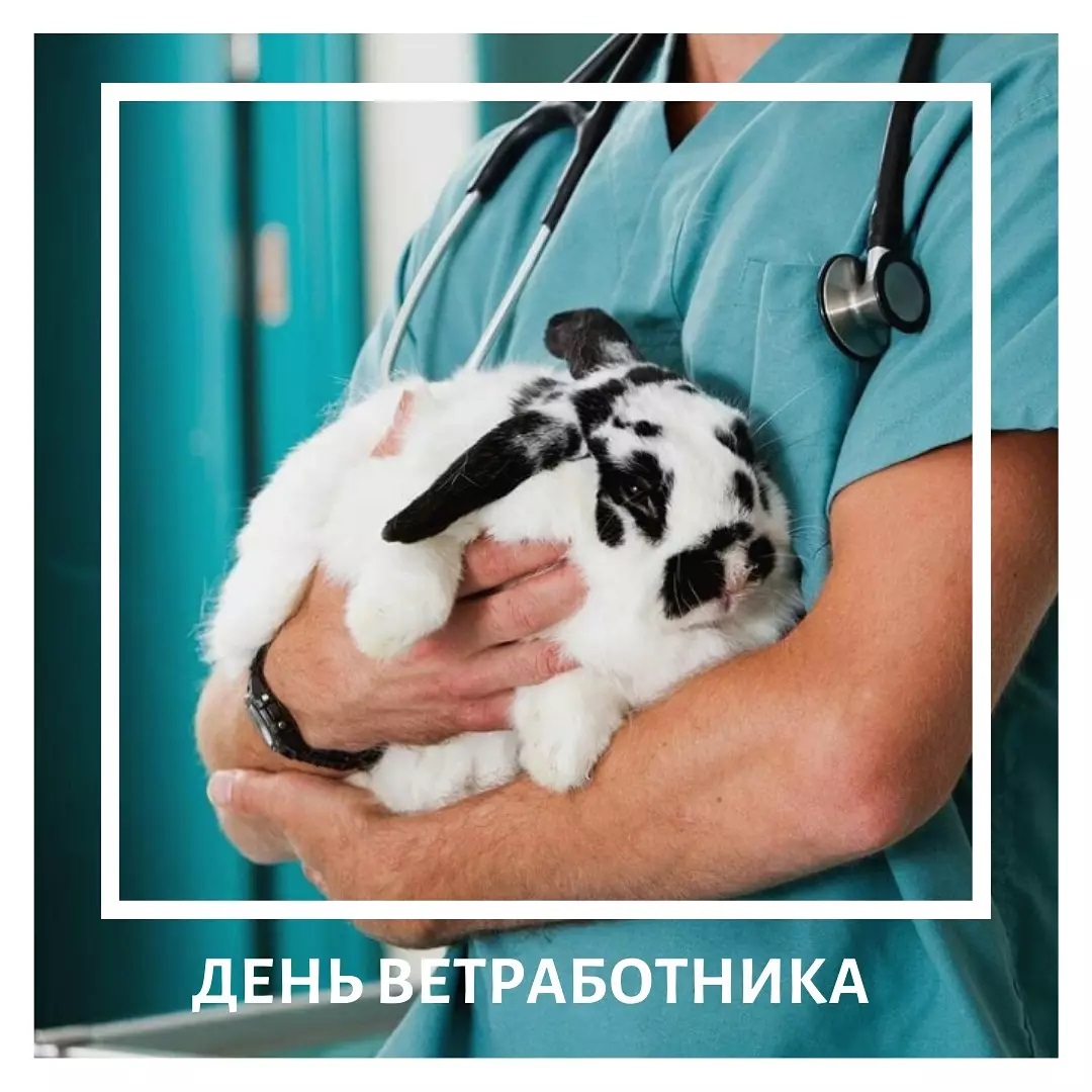 День ветеринарных работников России