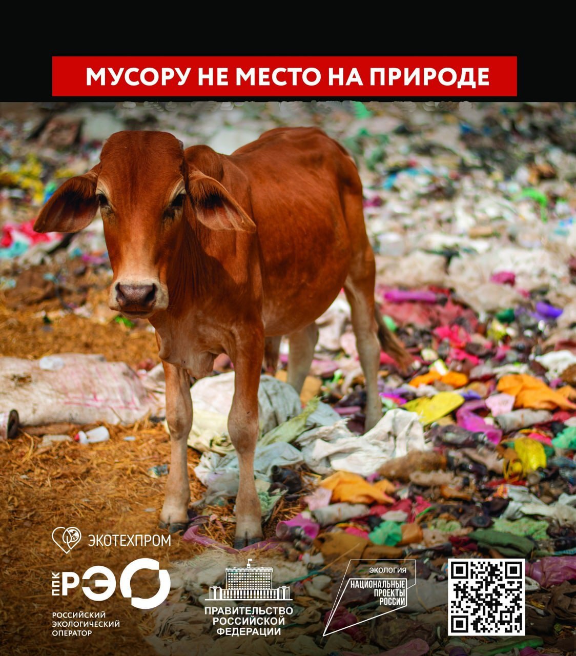 Влияние пластика на окружающую среду