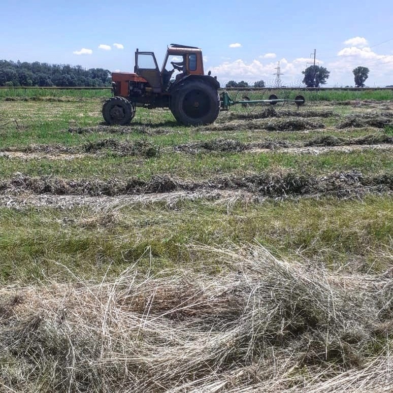 В свободное время