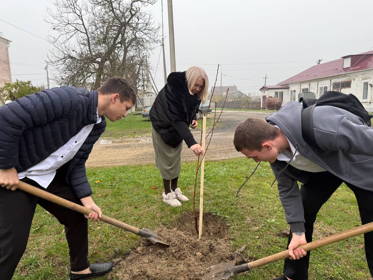  Ученики 11-го класса школы № 16 с. Молдаванского приняли участие в акции «Сохраним лес». Они высадили деревья на территории школьного двора.