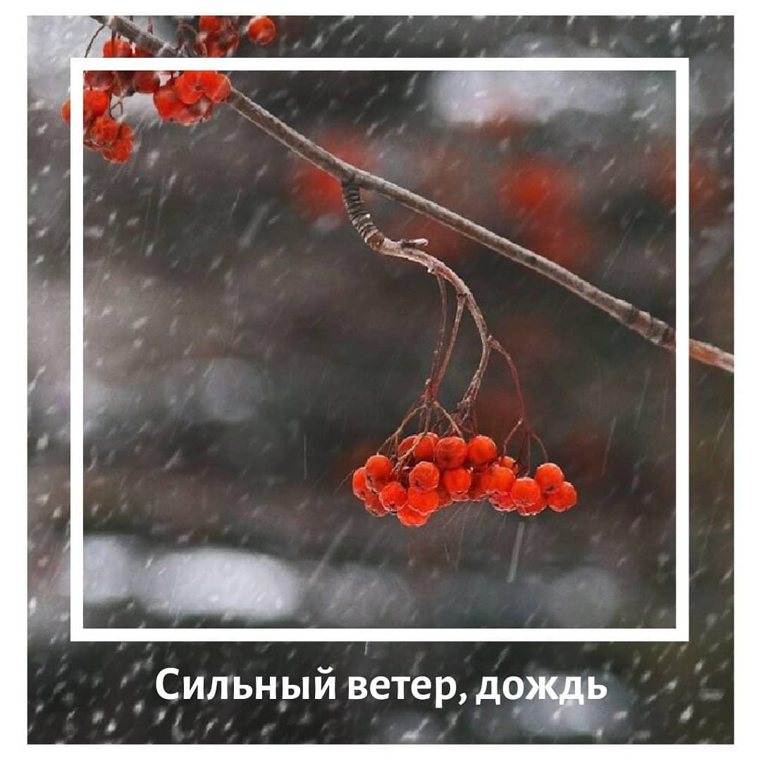 Сильный ветер и дождь