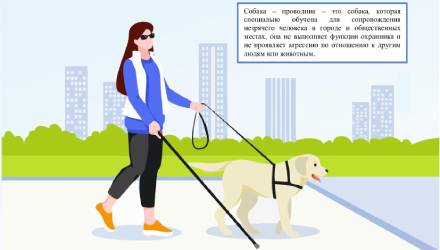 Памятка о допуске собак-проводников на объекты предоставления услуг