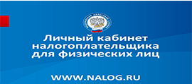 Личный кабинет налогоплатильщика для физ лиц