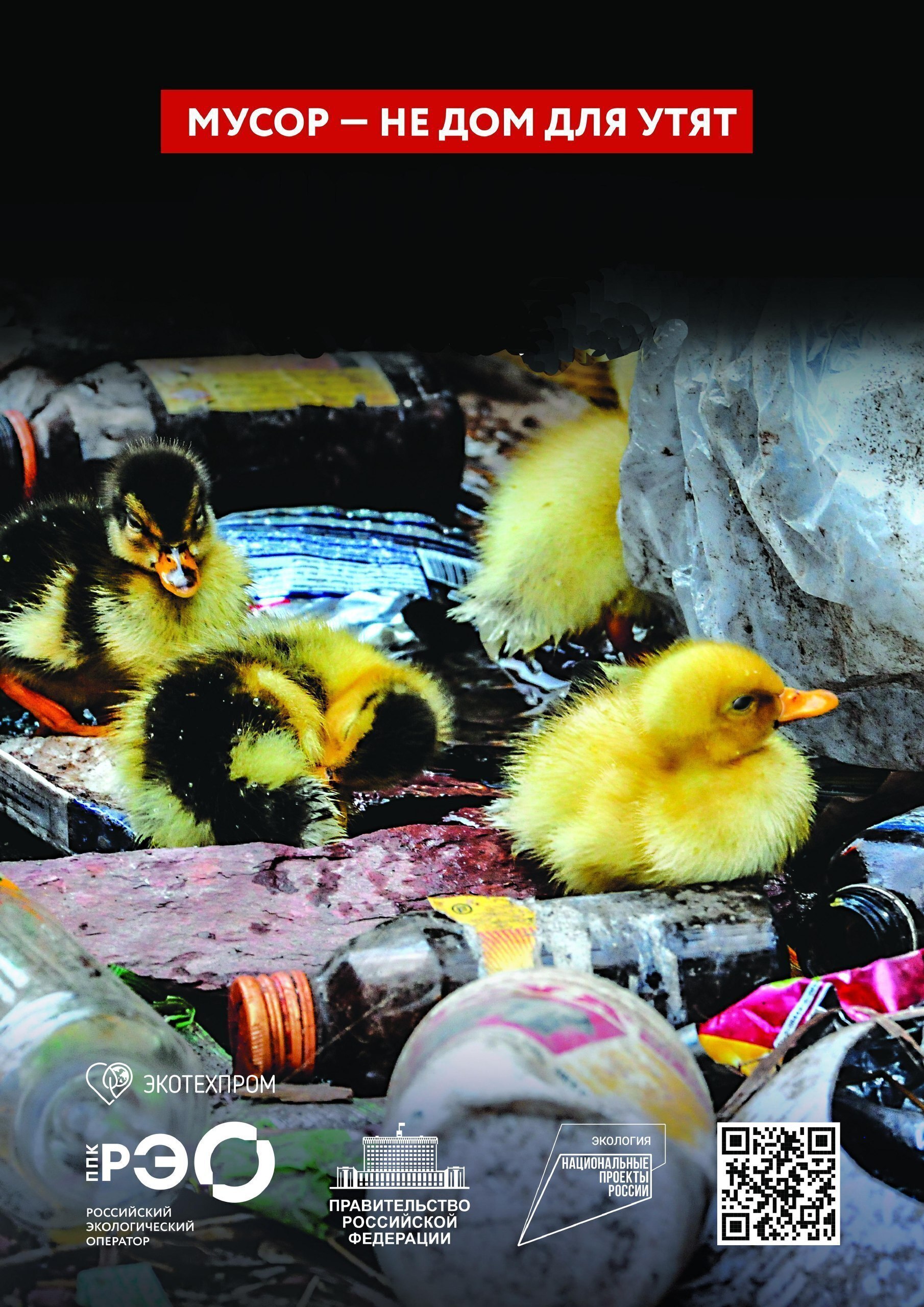 Среднее время разложения пластмассовых изделий, созданных по разным технологиям, колеблется от 6 месяцев до 700 лет. 