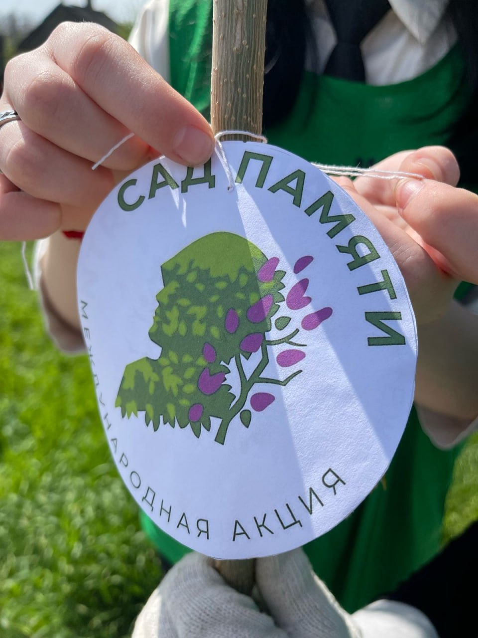  В с. Фадеево Варениковского сельского поселения прошла международная акция «Сад памяти».