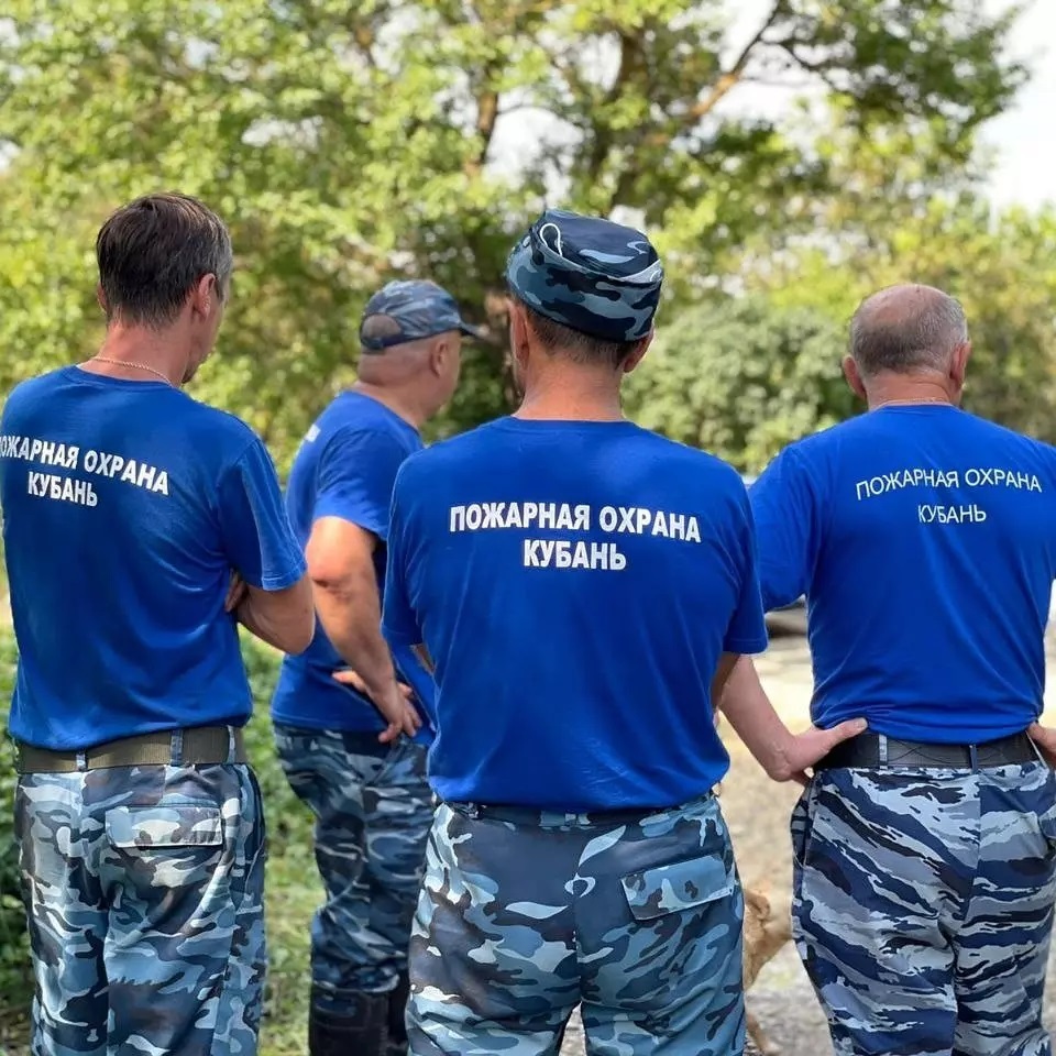 В Южном сельском поселении работают специальные комиссии