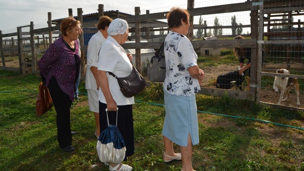 Подари надежду