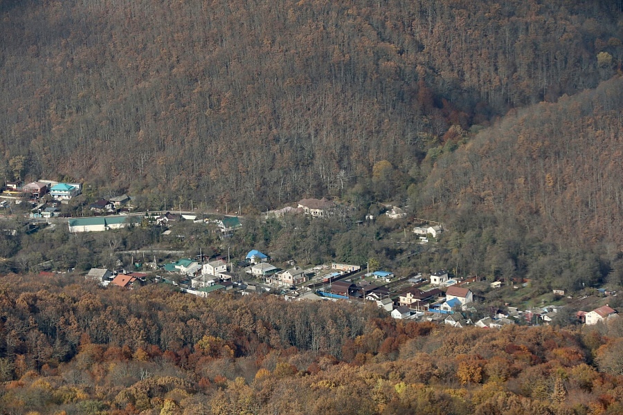 По поручению губернатора проверят застройку лесного фонда в Крымском районе⠀