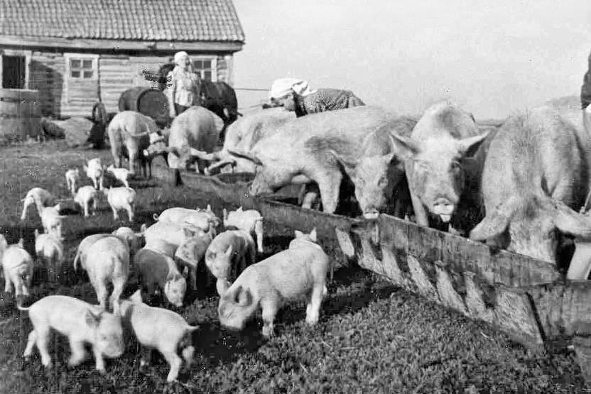 6 января в истории Крымского района