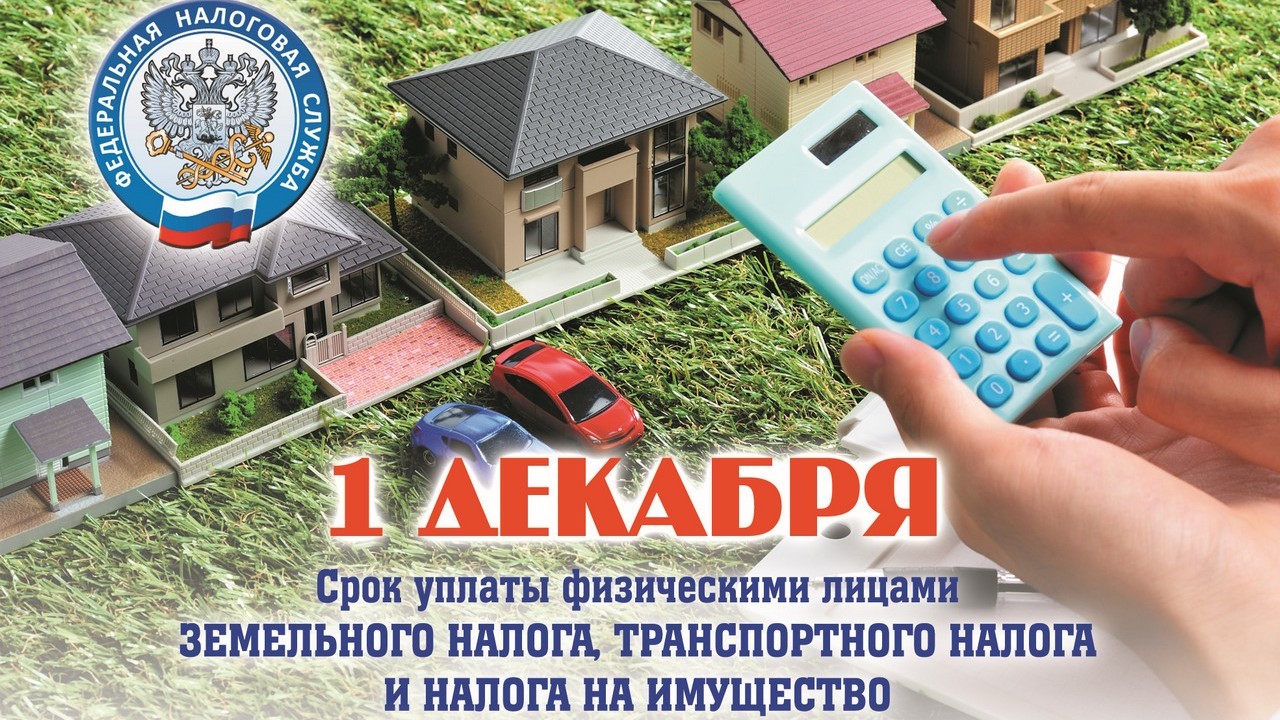 Налоговые уведомления за 2019 год следует оплатить не позднее 1 декабря