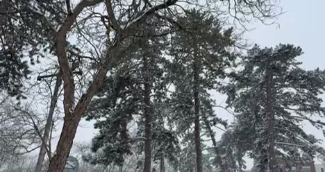 ❗Сильный дождь, снег и ветер