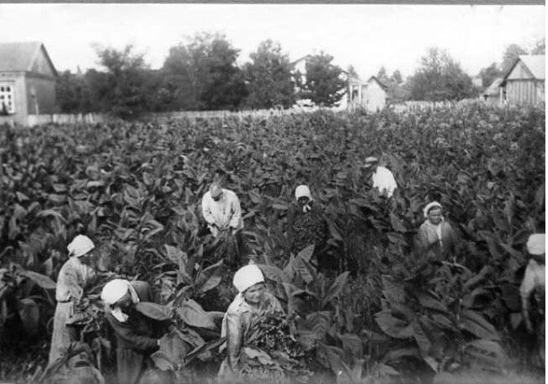 2 декабря в истории Крымского района