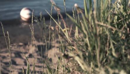 В водоёмах Крымского района купаться запрещено