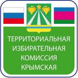 Анонс заседания ТИК