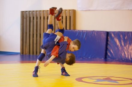 Вениамин Кондратьев предложил создать на Кубани школьную лигу самбо