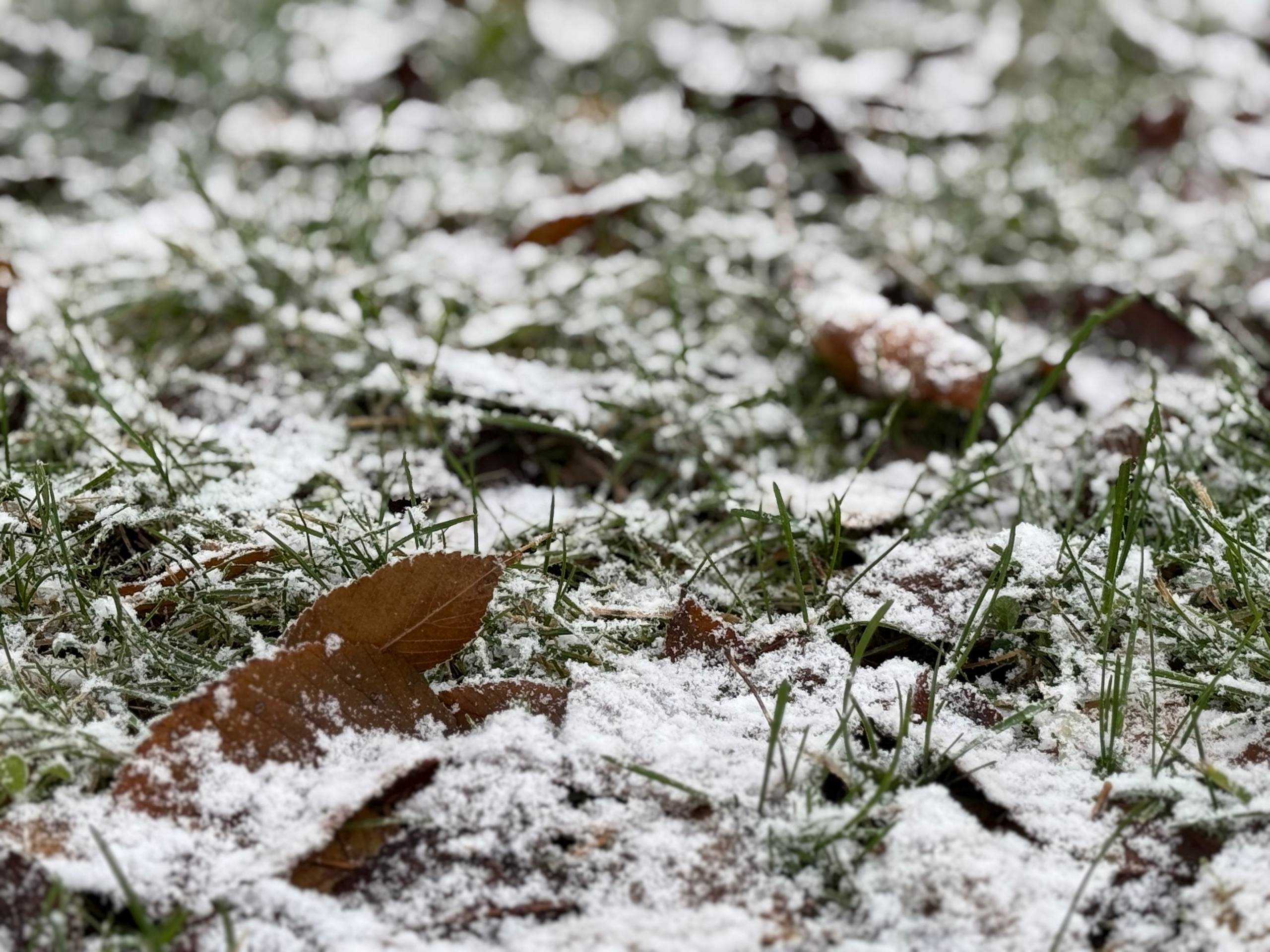 Снег, гололед и ветер 
