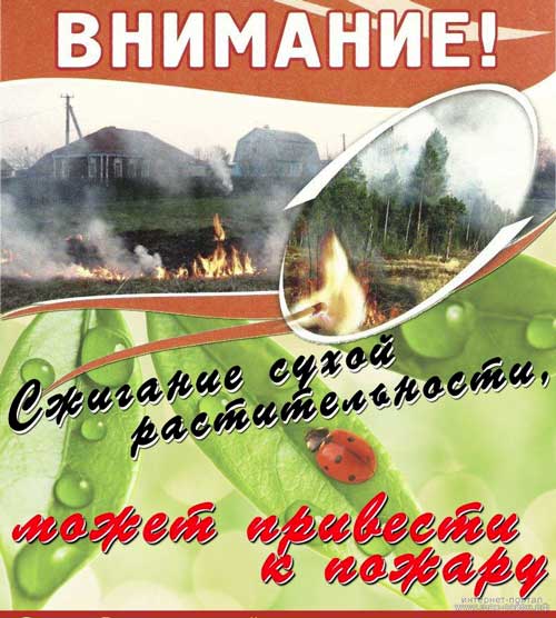 Правила сжигания мусора на дачных участках