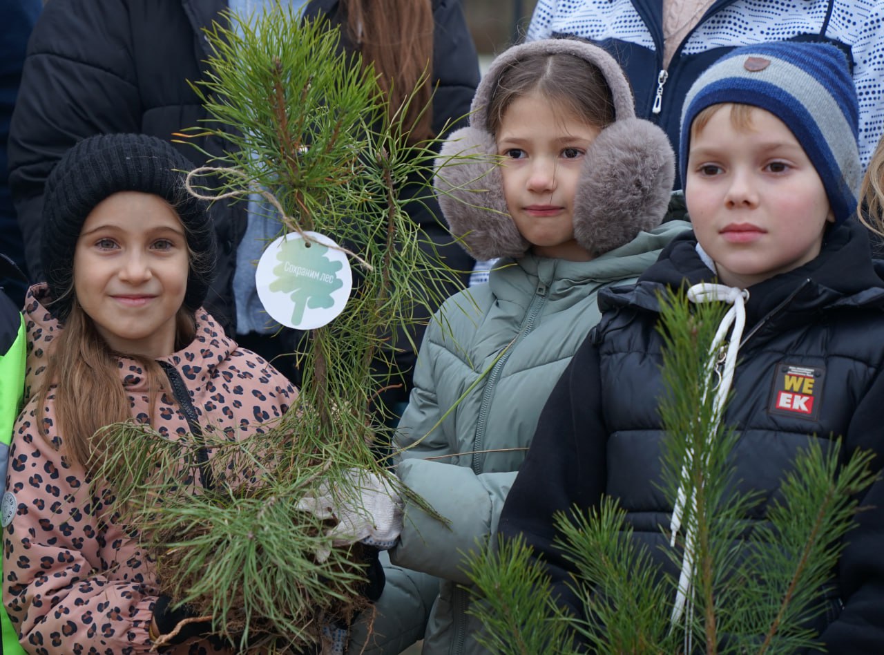 Сохраним лес