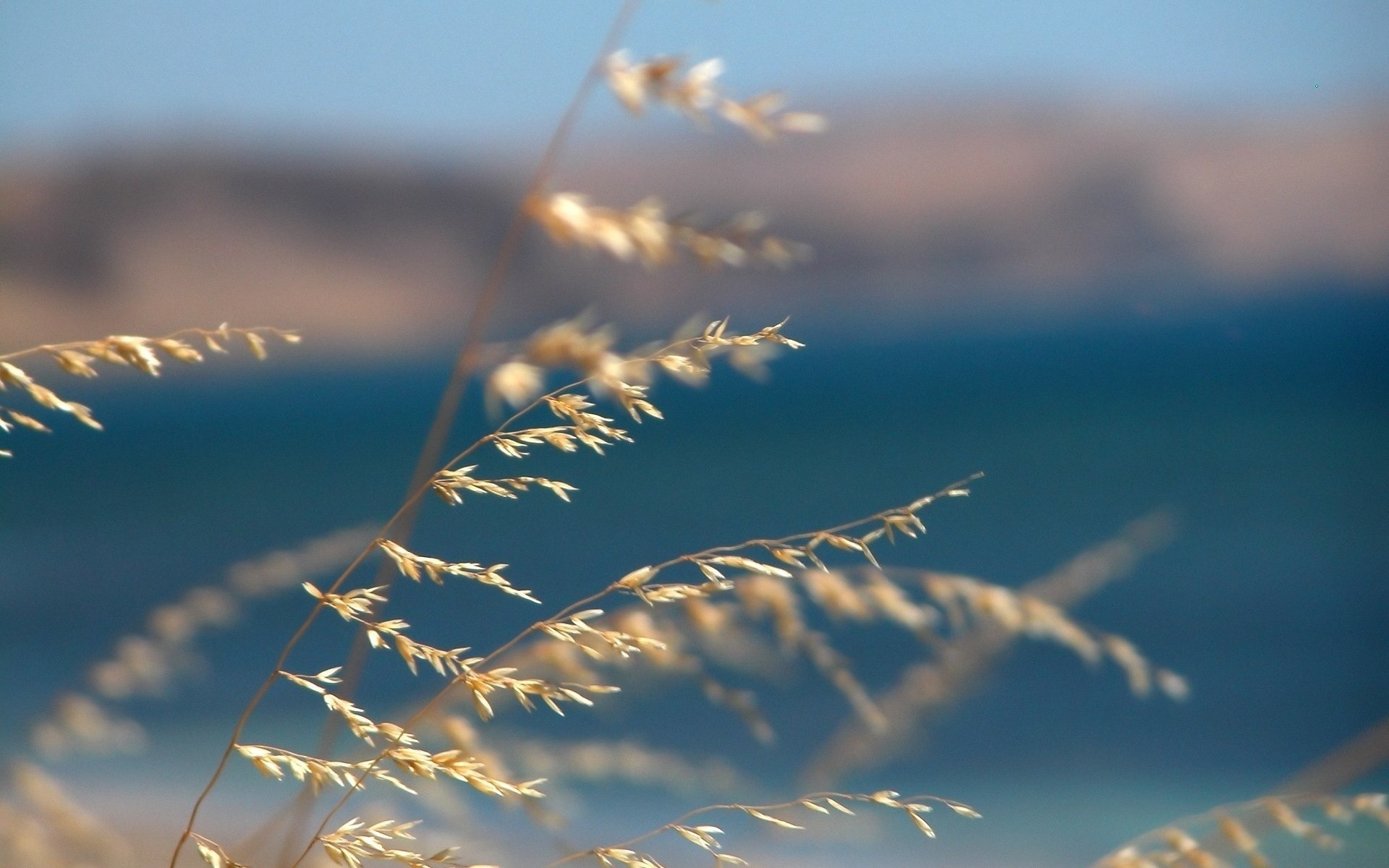 Ветер 30 и 31 июля