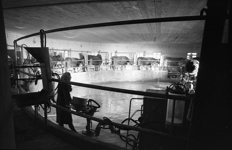 13 февраля в истории Крымского района